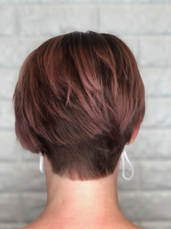 Rose Brown Pixie